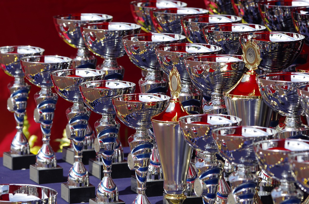 trophies, show, award-710169.jpg